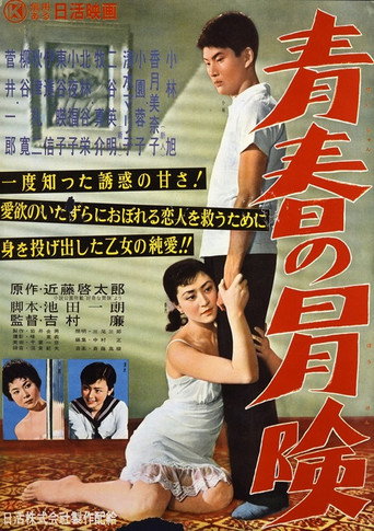 Póster de 青春の冒険