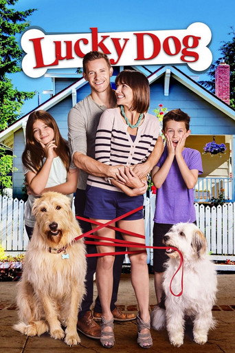 Póster de Lucky Dog