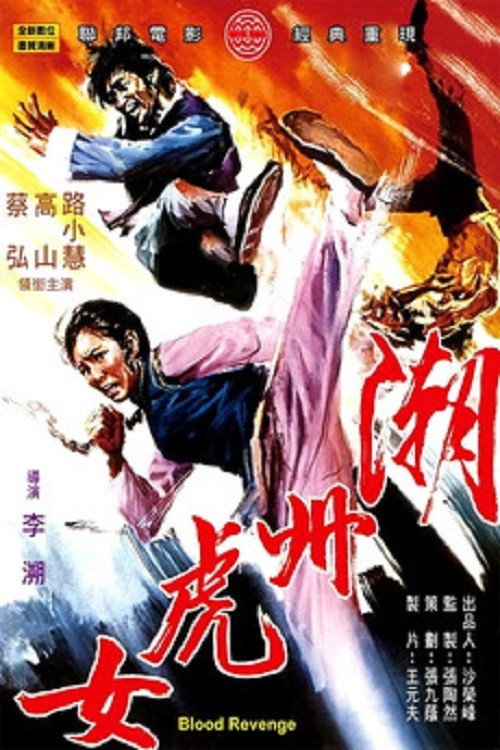 Póster de Chao Zhou hu nu