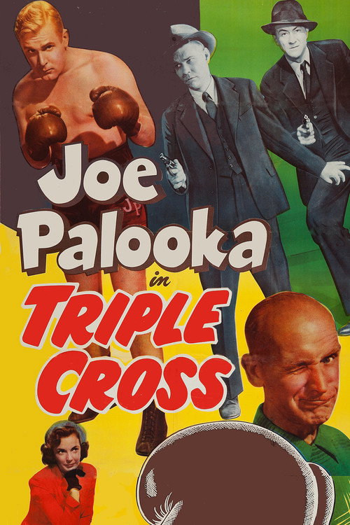 Póster de Triple Cross