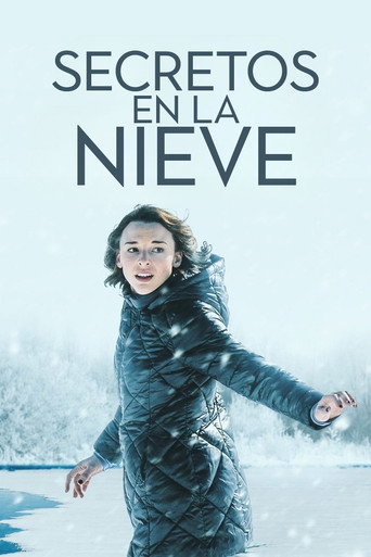Póster de Secrets in the Snow