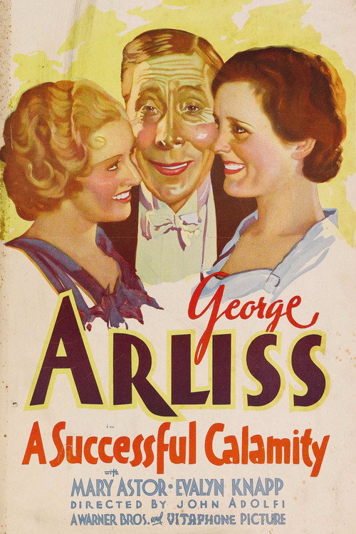 Póster de A Successful Calamity