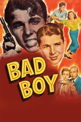 Póster de Bad Boy