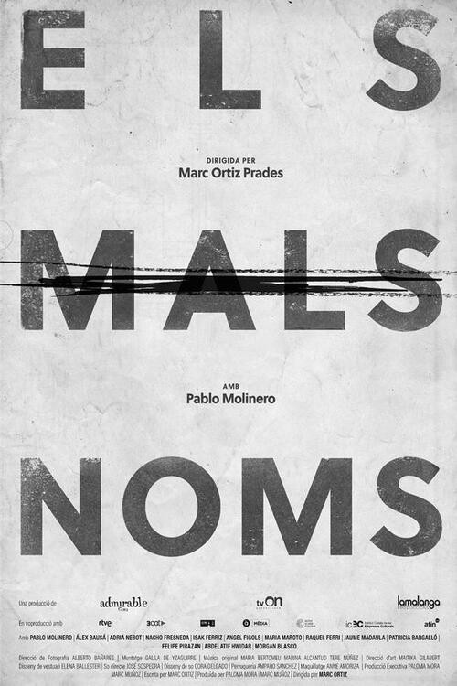 Póster de Els mals noms