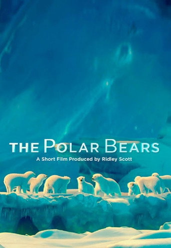 Póster de The Polar Bears