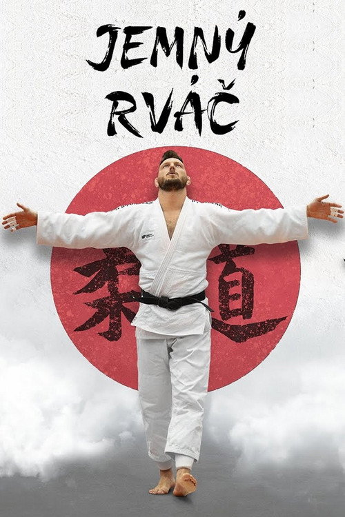 Póster de Jemný rváč