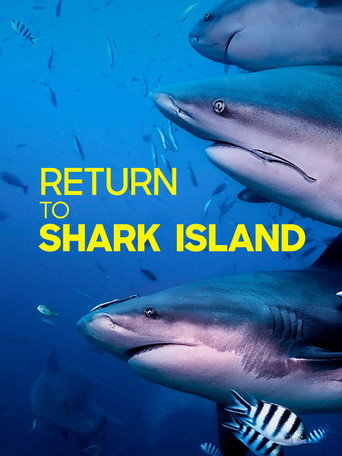 Póster de Return to Shark Island