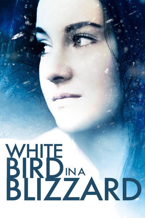 Póster de White Bird in a Blizzard