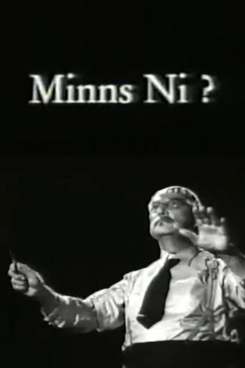 Póster de Minns ni?