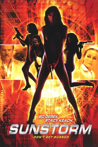Póster de Sunstorm