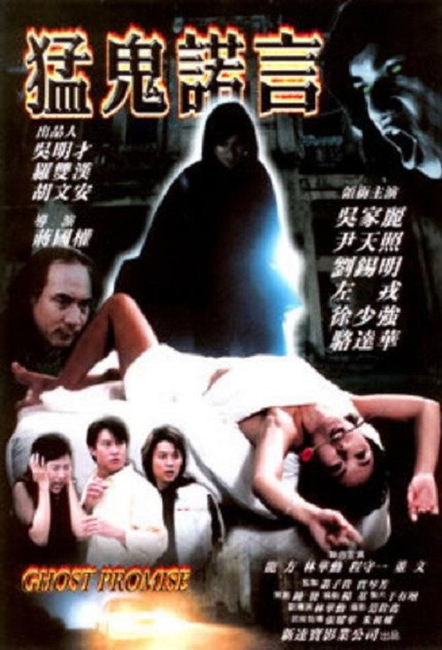 Póster de 猛鬼諾言