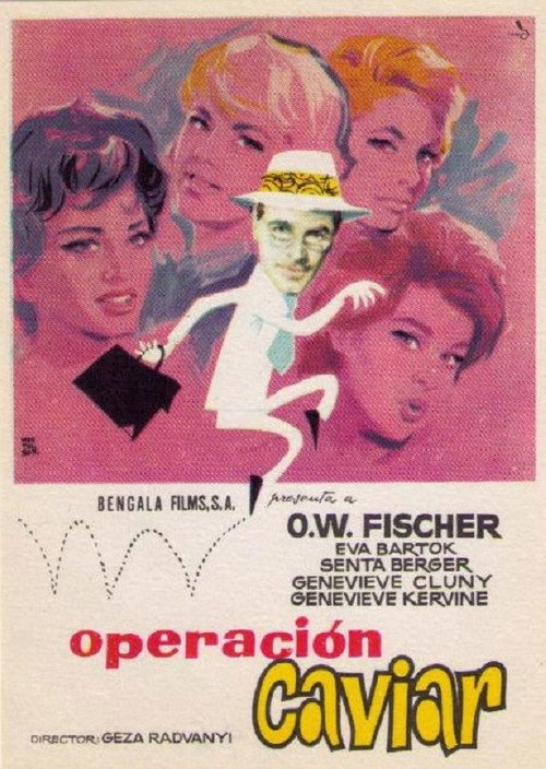 Póster de Es muß nicht immer Kaviar sein