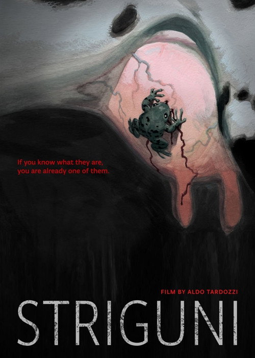 Póster de Štriguni