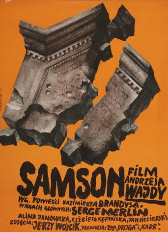 Póster de Samson