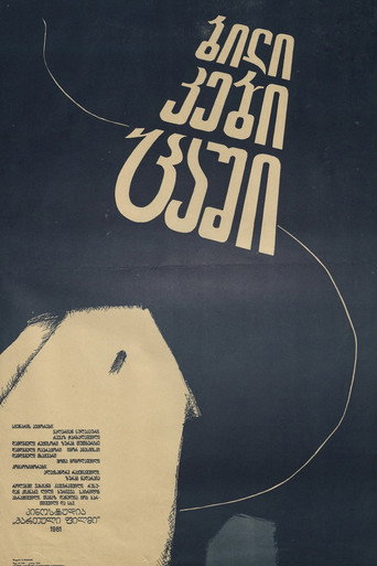 Póster de Paths in the Sky