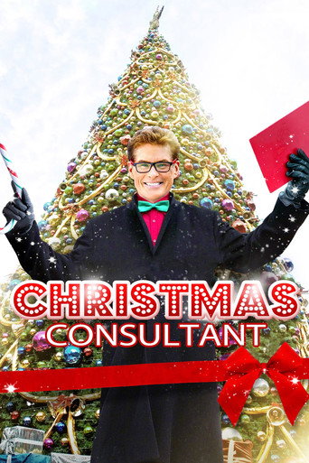 Póster de The Christmas Consultant