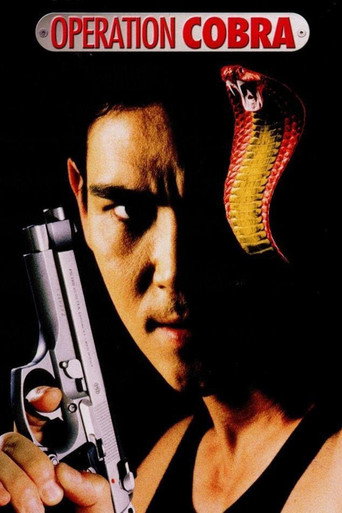 Póster de Operation Cobra
