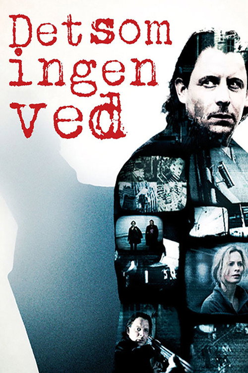 Póster de Det som ingen ved