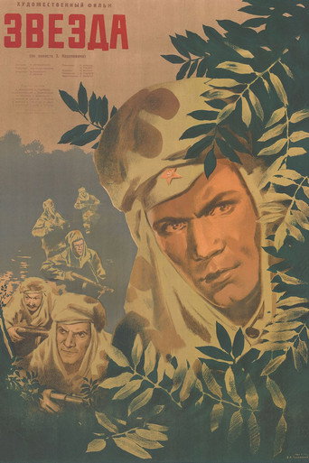 Póster de Звезда