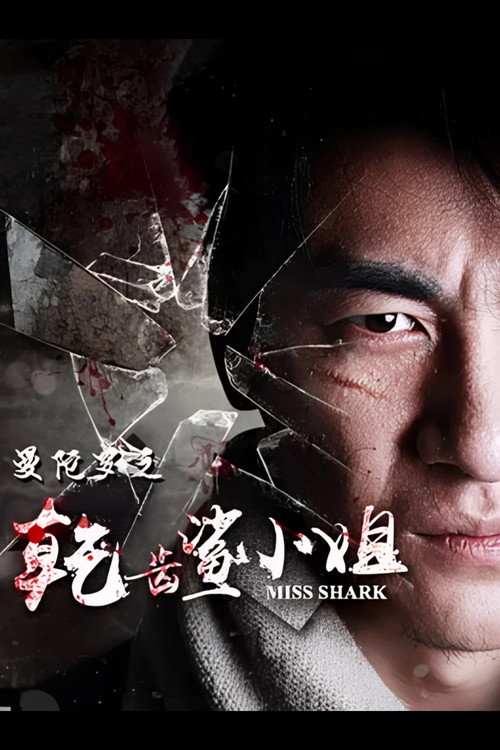 Póster de Miss Shark