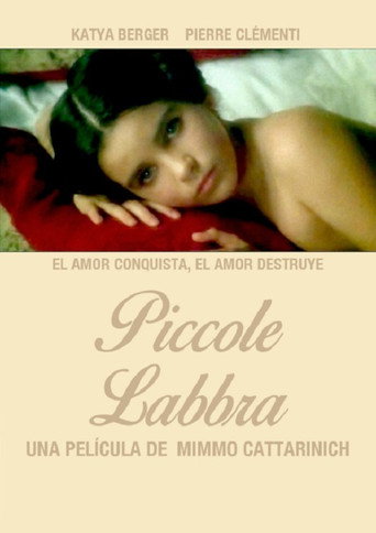 Póster de Piccole labbra