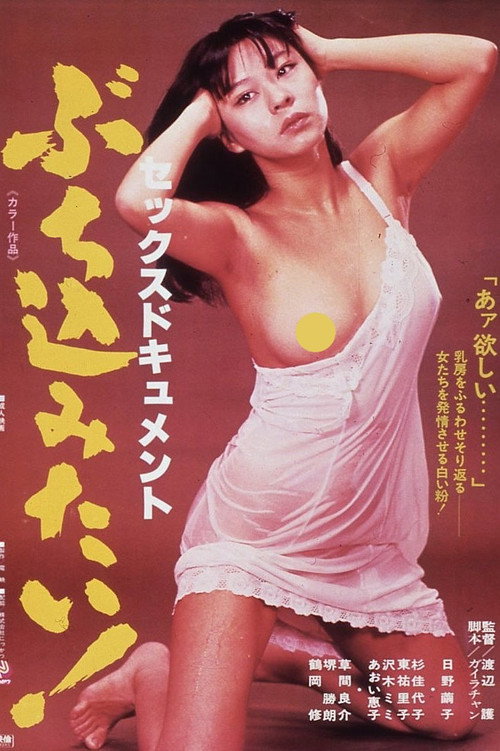 Póster de セックスドキュメント・ぶち込みたい！