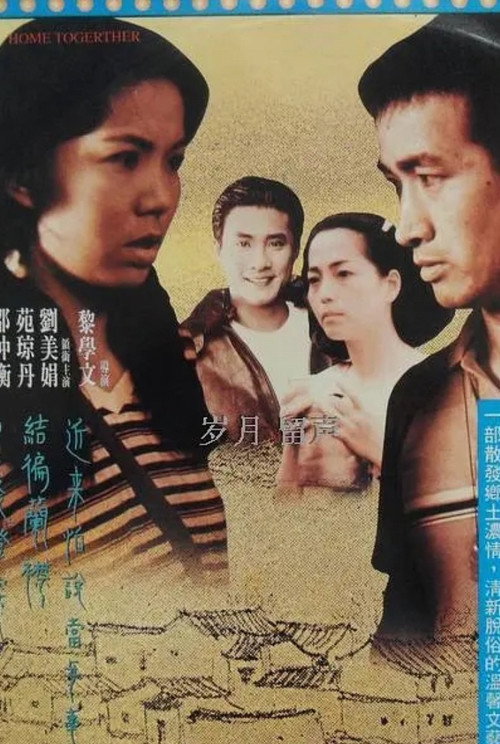 Póster de 情歸何處