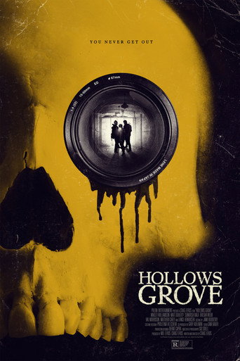 Póster de Hollows Grove