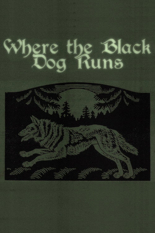 Póster de Where the Black Dog Runs