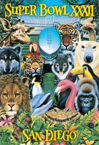 Póster de Super Bowl XXXII