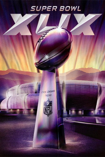 Póster de Super Bowl XLIX