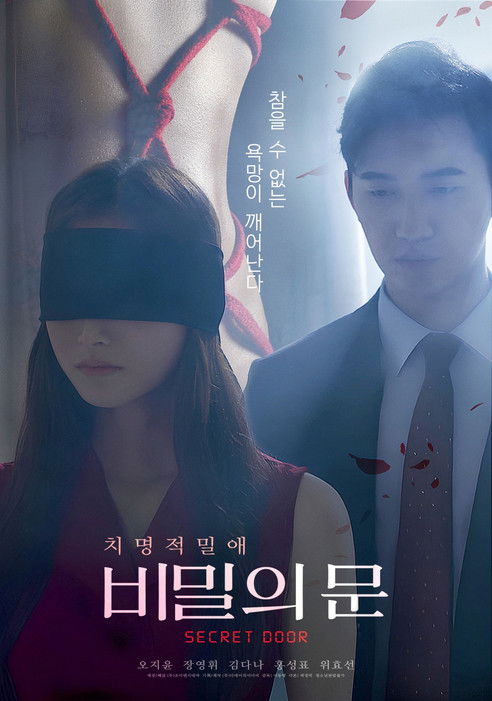 Póster de 비밀의 문