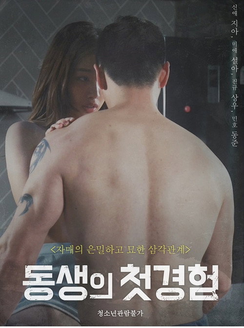 Póster de 동생의 첫 경험 (무삭제)
