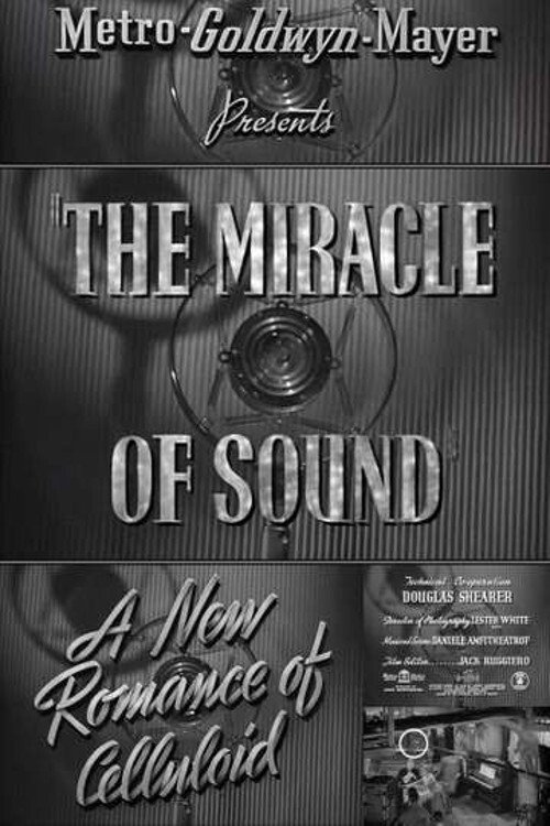 Póster de A New Romance of Celluloid: The Miracle of Sound