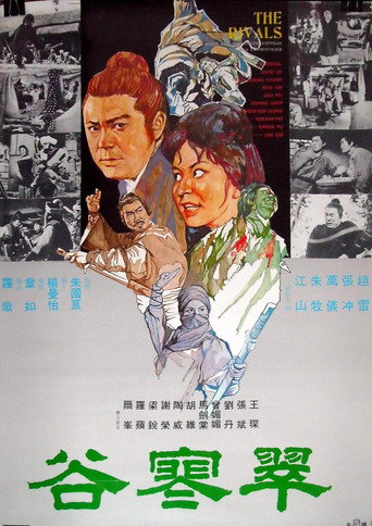 Póster de 翠寒谷