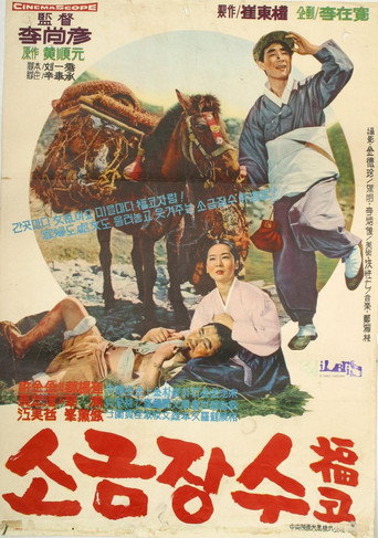 Póster de 소금장수