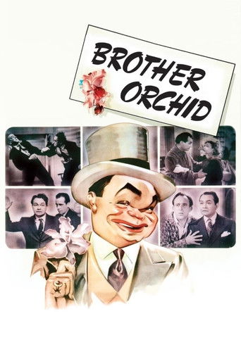 Póster de Brother Orchid