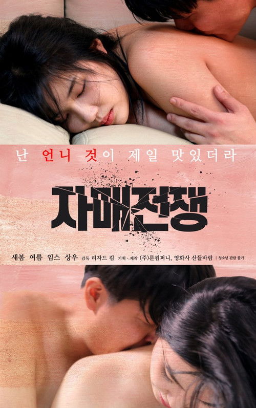 Póster de 자매전쟁
