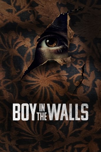 Póster de Boy in the Walls