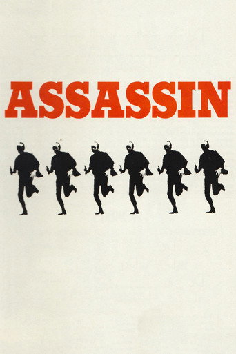 Póster de Assassin