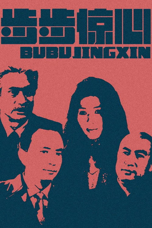 Póster de 步步惊心