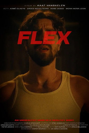 Póster de Flex