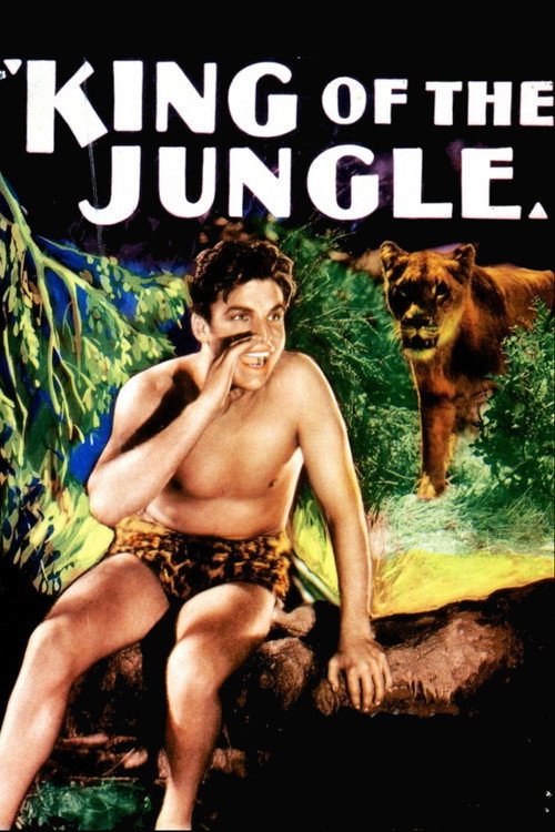 Póster de King of the Jungle