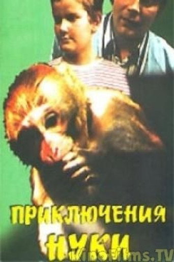 Póster de Приключения Нуки