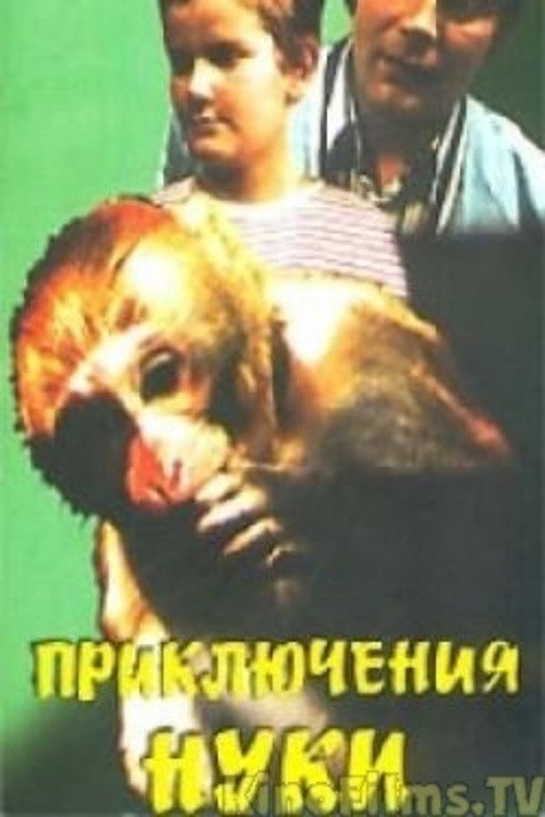 Póster de Приключения Нуки