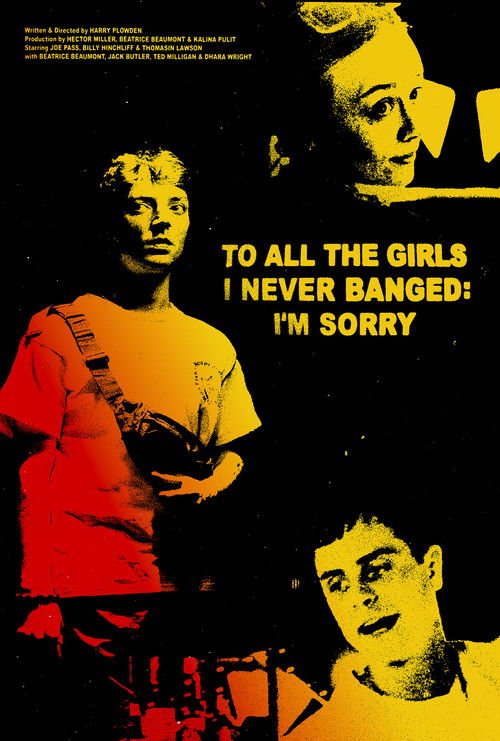 Póster de To All The Girls I Never Banged: I'm Sorry