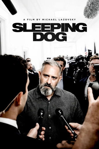 Póster de Sleeping Dog