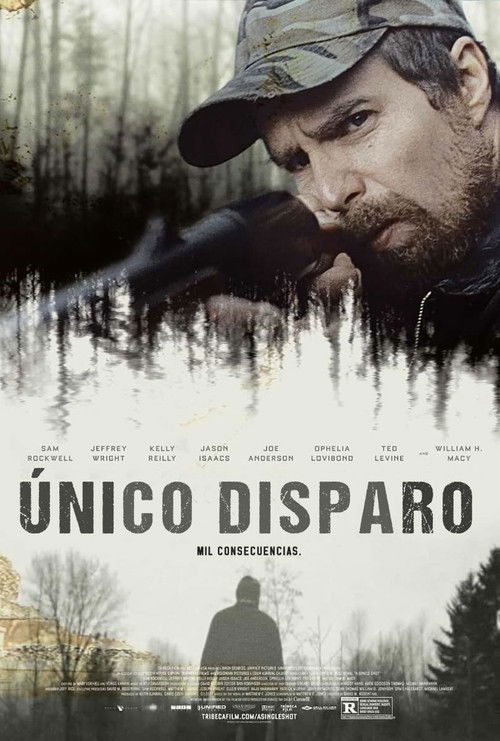 Póster de Al primer disparo