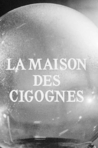 Póster de La maison des cigognes