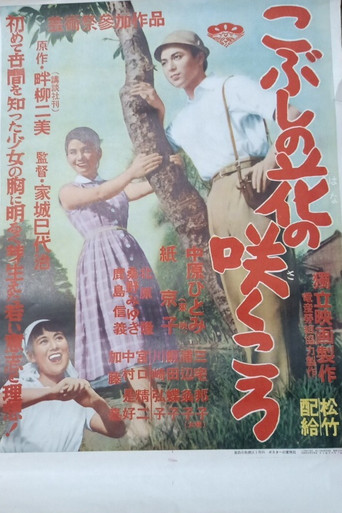 Póster de こぶしの花の咲く頃
